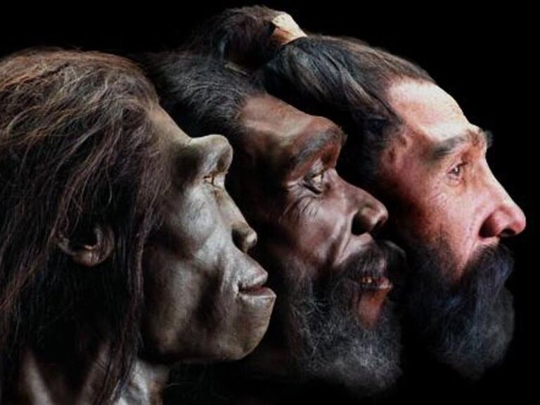 Ancient DNA Reveals A Girl With Parents of Two Different Species ...