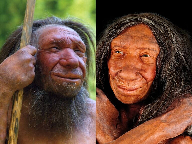 Ancient DNA Reveals A Girl With Parents of Two Different Species
