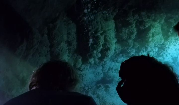 Public Interest in Deep-Sea Exploration Was at an All-Time High