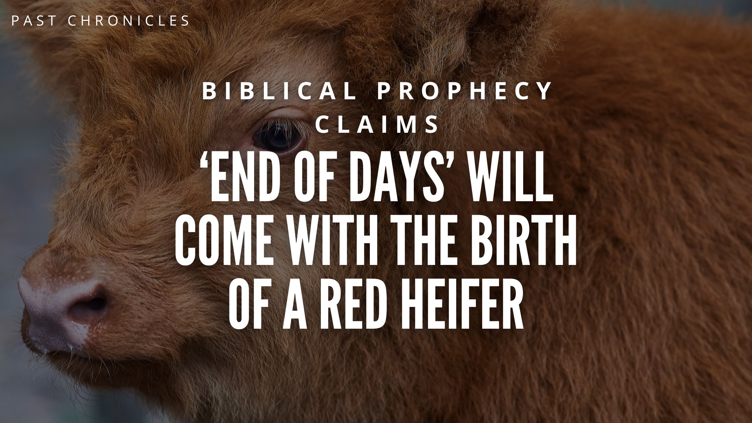 Biblical Prophecy Claims ‘End of Days’ Will Come with the Birth of a ...