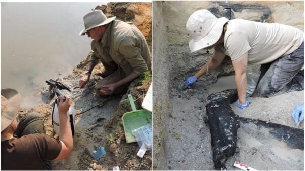 Archeologists led by Professor Larry Barham unearth primitive wooden tools and structures of almost half a million years old in Kalambo Falls, Zambia