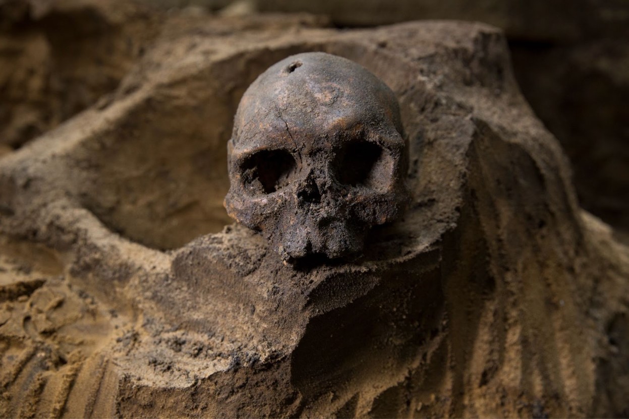 A human skull that dates back to the 11th century