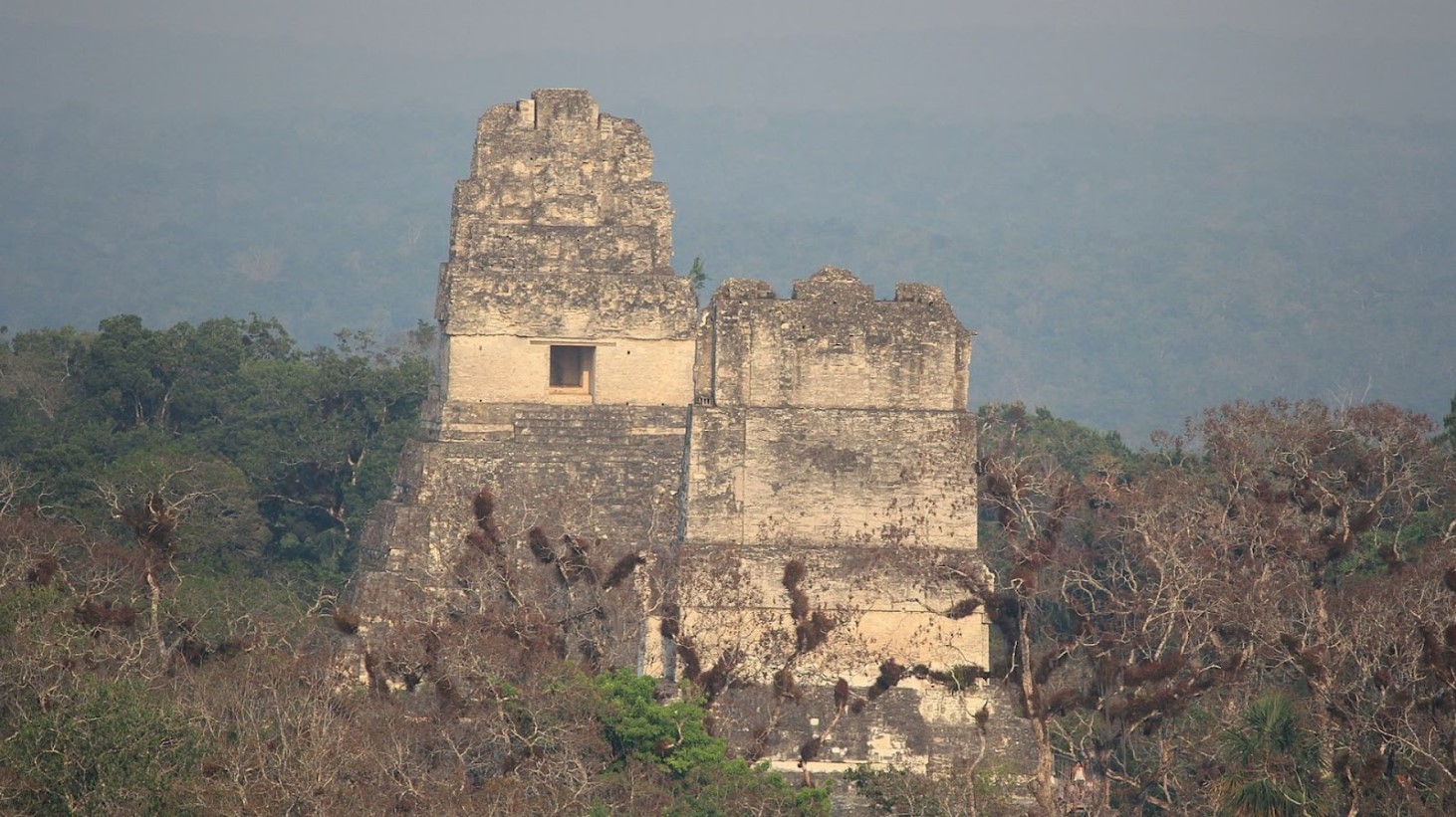 A photograph of a towering Maya temple, with its distinctive stepped pyramidal structure and prominent roof, rising above the surrounding dense jungle canopy