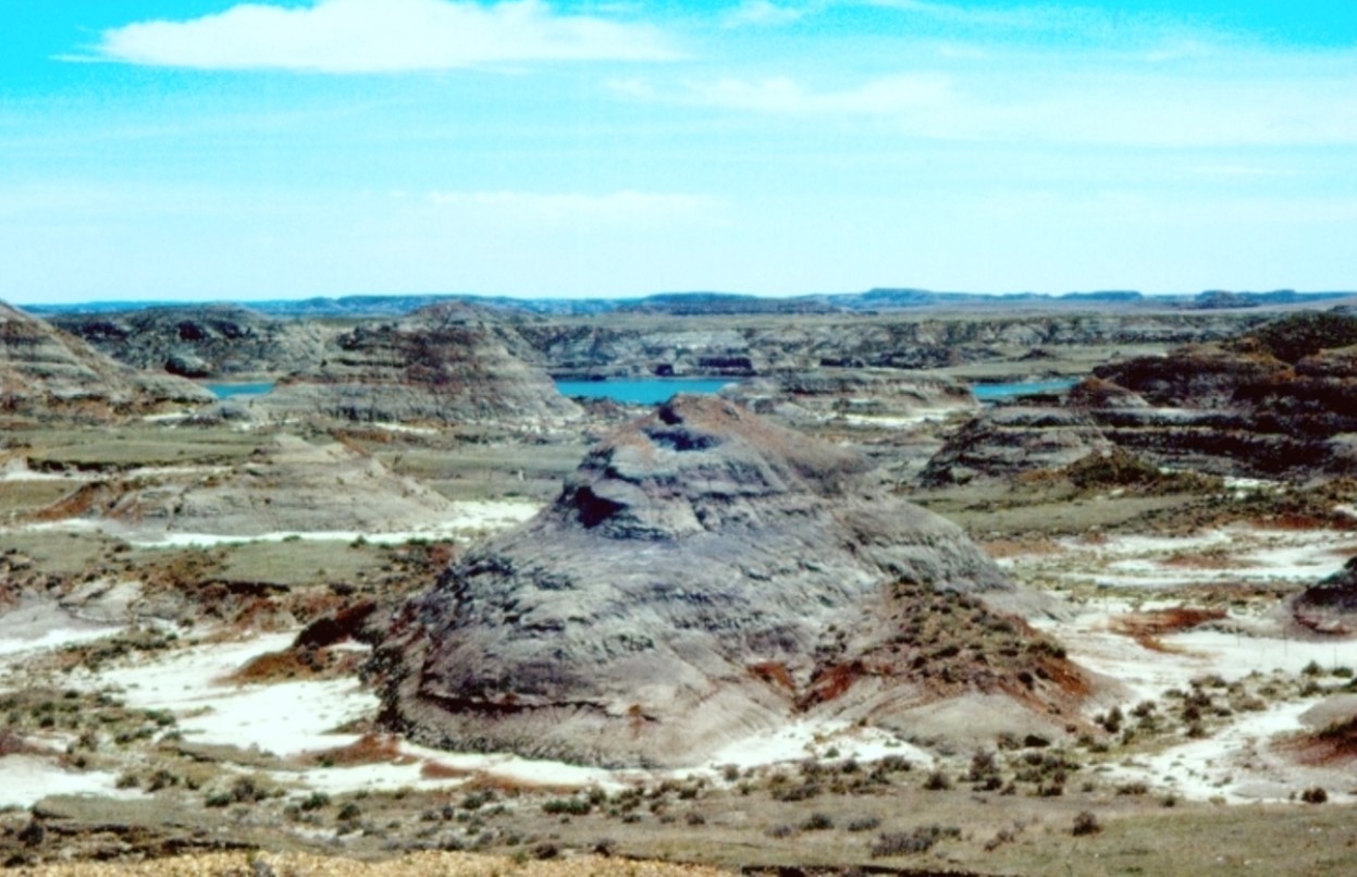 Photograph of part of the Hell Creek Formation where hundreds of dinosaur fossils have been found
