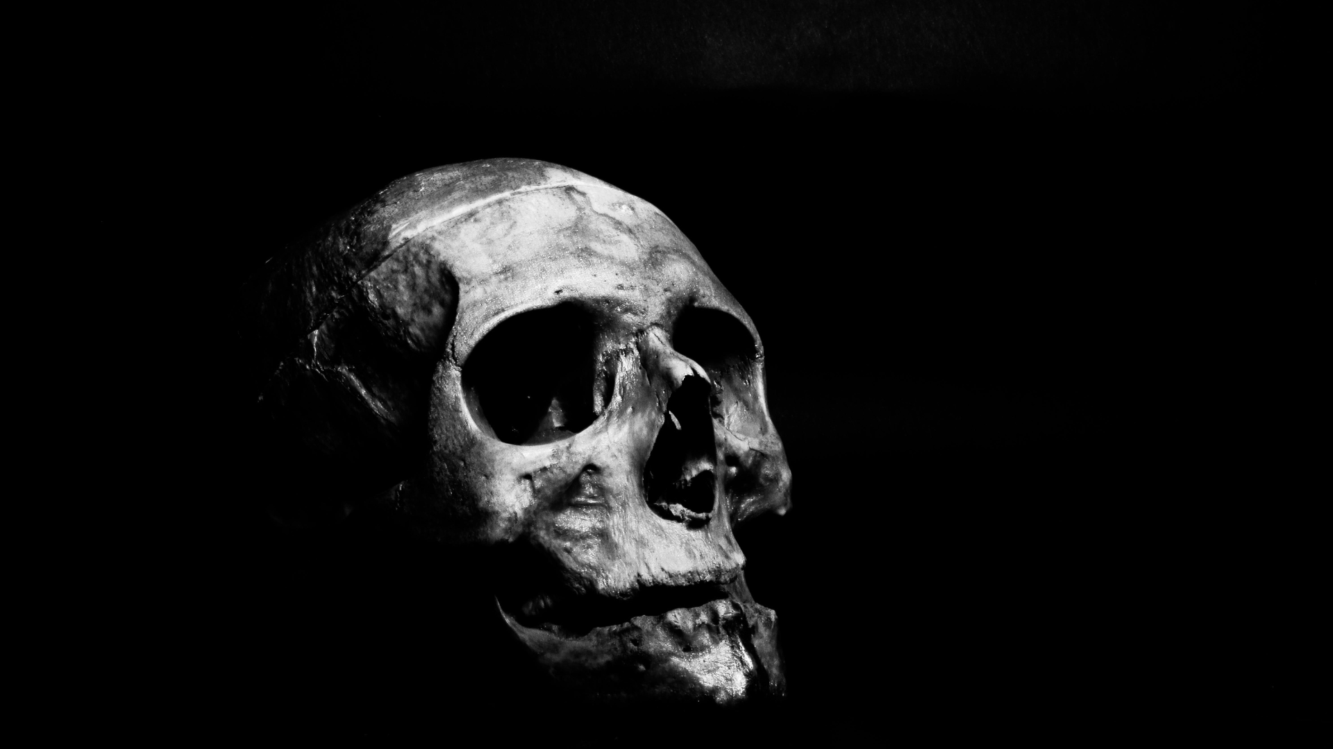A human skull partially shrouded in darkness against a completely black background.