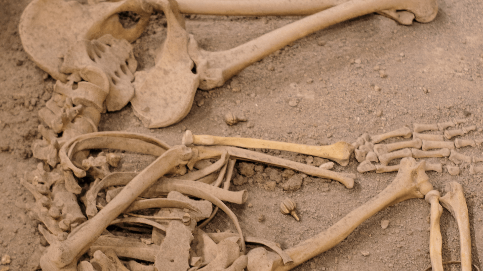 A close-up of human bones.