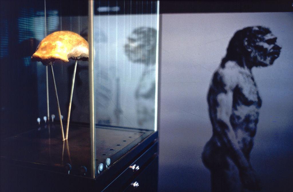 A neanderthal skull on display in the Bonn Museum in Germany, 1972
