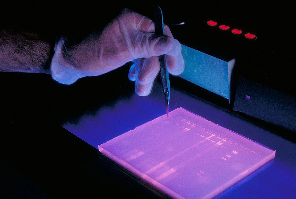 Researcher conducts a DNA study in Centers for Disease Control laboratory