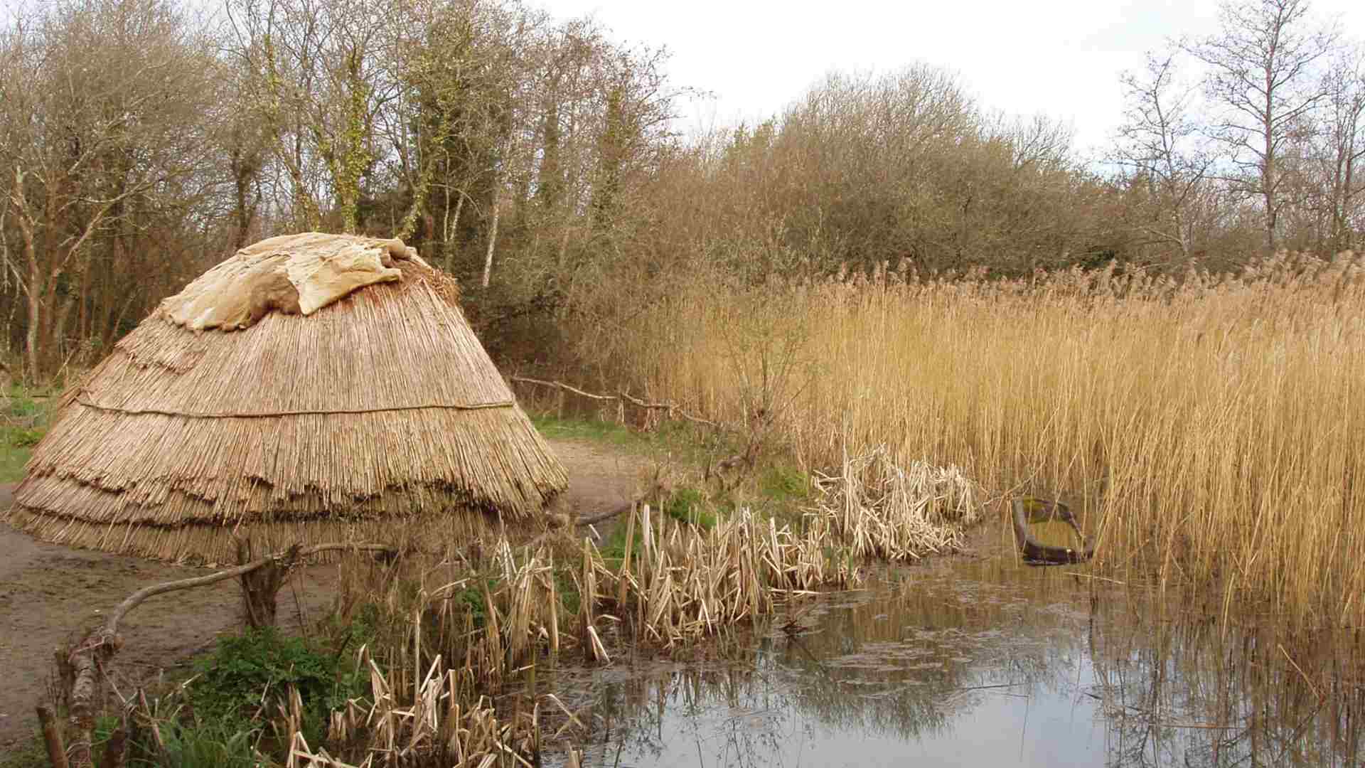 A recreation of a hunter's hut from the Mesolithic period.