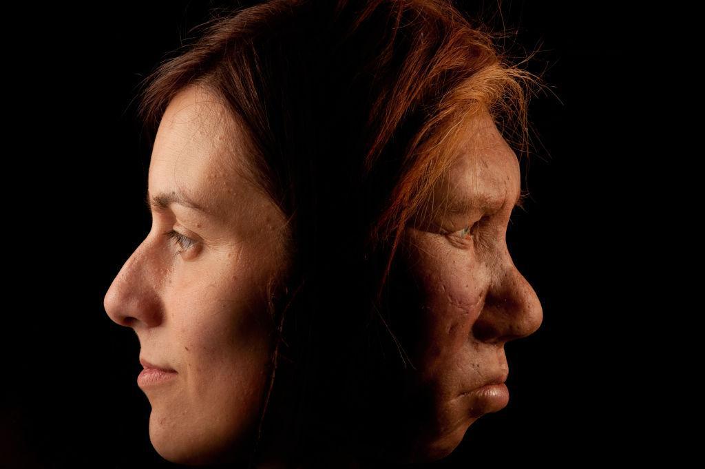 The Neanderthal woman was re-created and built by Dutch artists Andrie and Alfons Kennis, alongside a depiction of a homo sapien woman