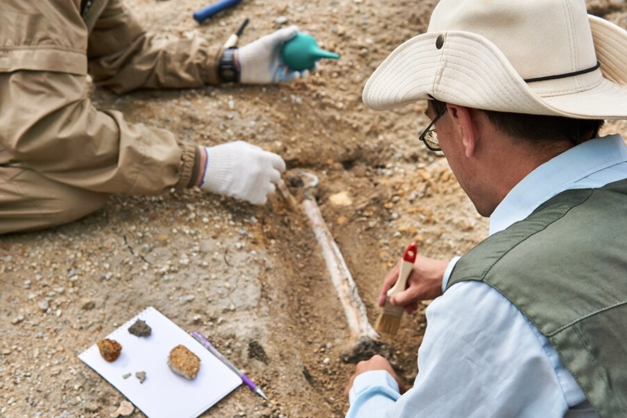 Two paleontologists examining a bone in the dirt