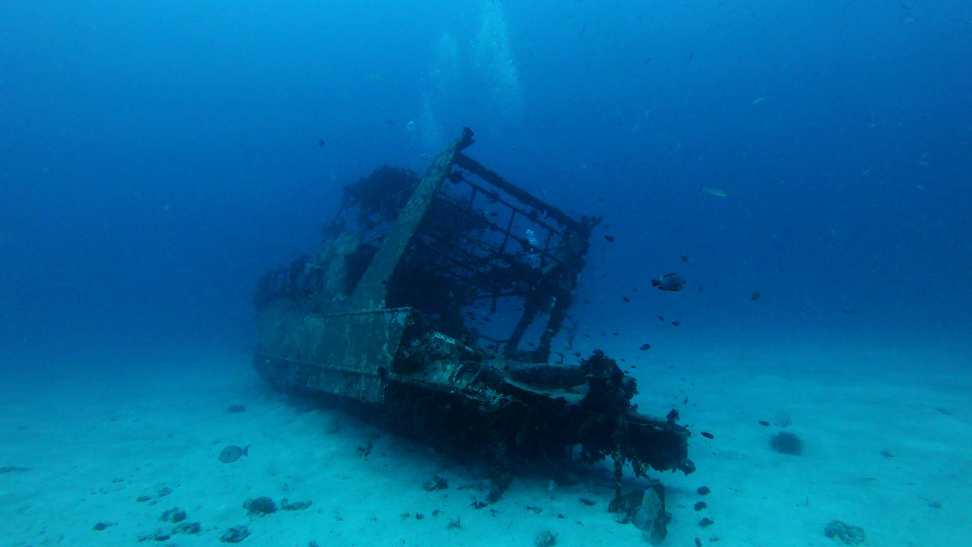 A shipwreck on the ocean floor.