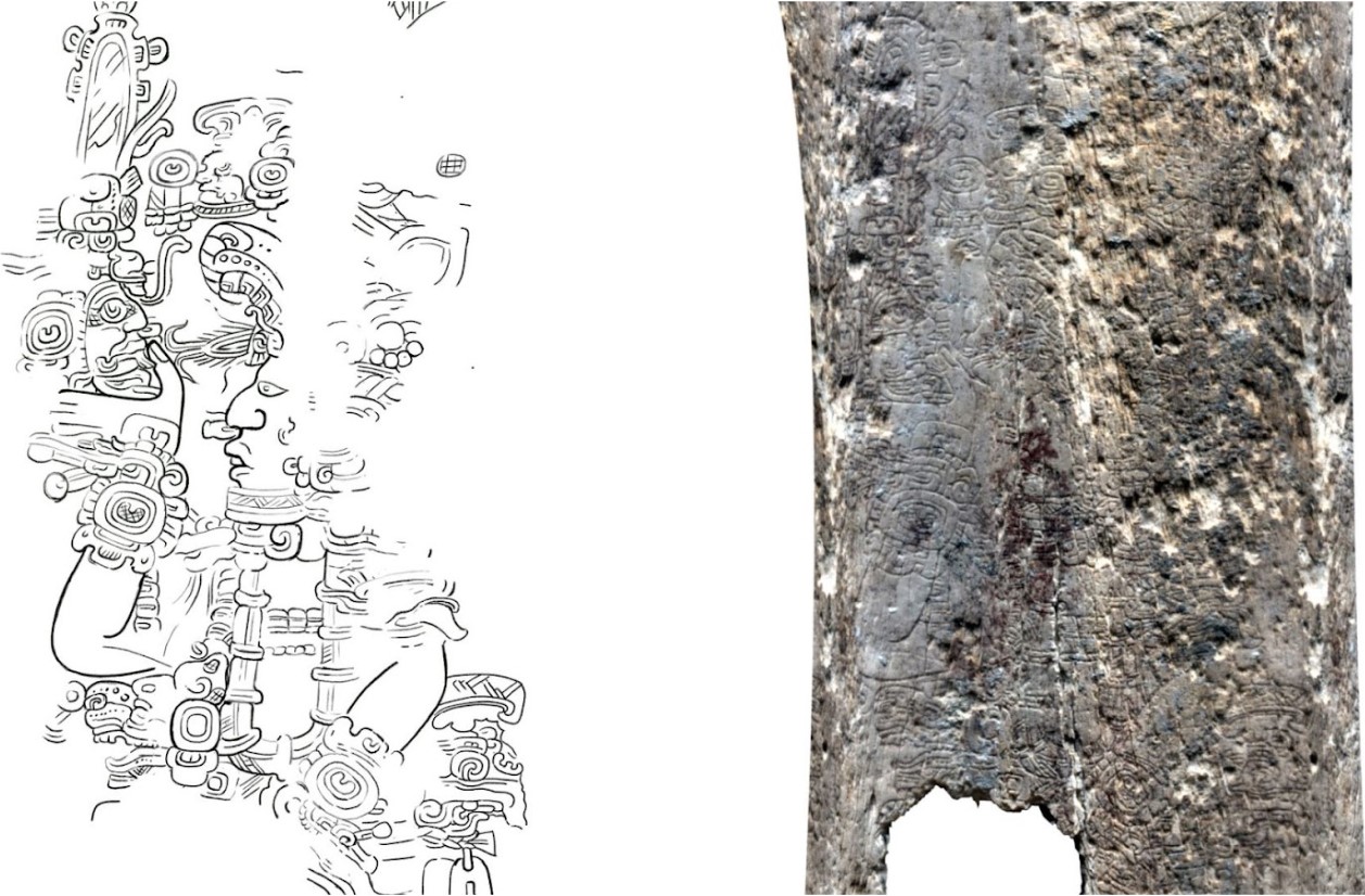 The left side of the image shows a line drawing of intricate Maya glyphs, featuring swirls, circles, and the profile of a human face, which could be part of a larger narrative or historical record. The right side displays a photograph of a bone artifact with similar carvings