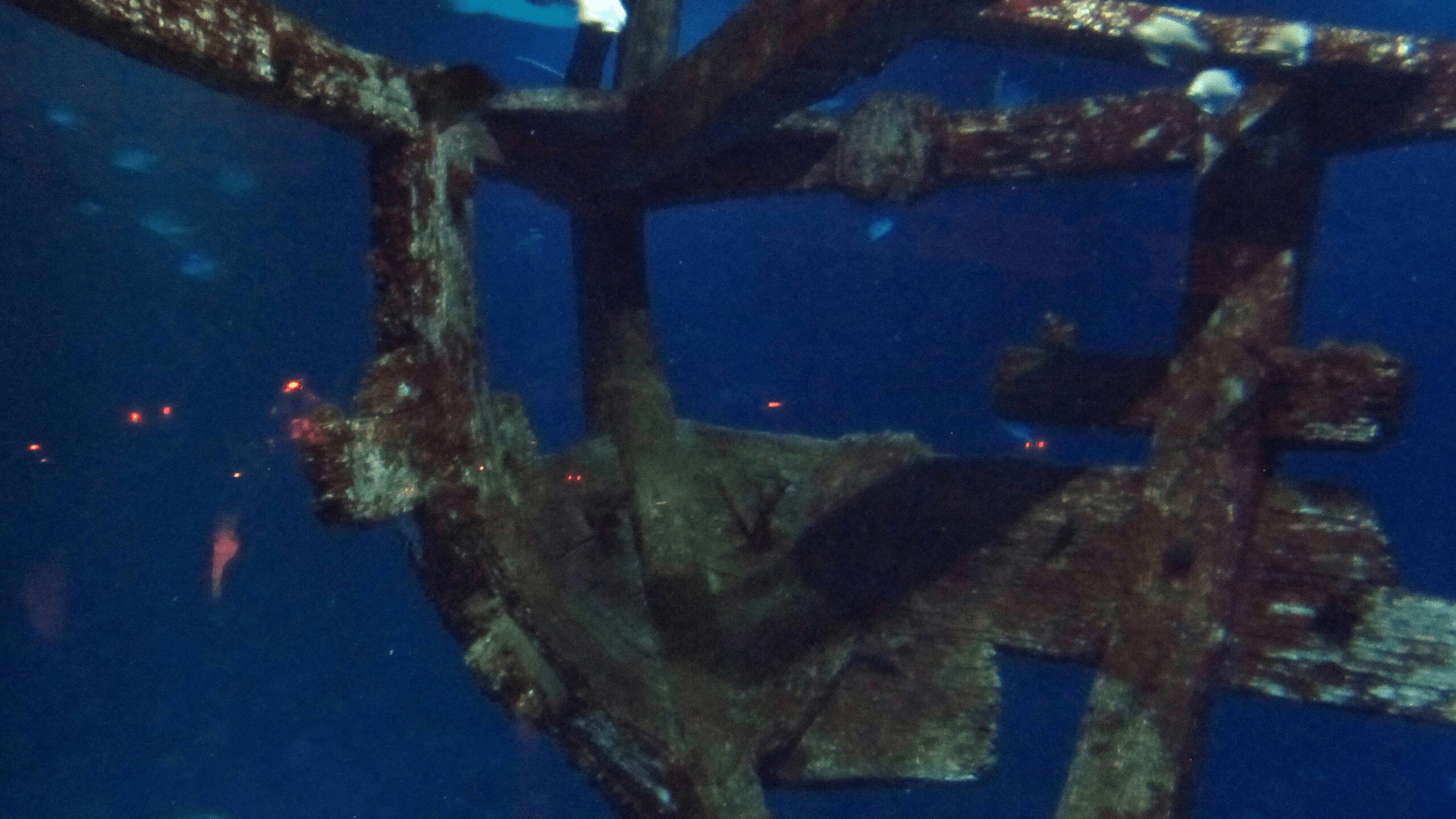 A photo taken from inside a wrecked wooden ship. Most of the wall is missing and you can see out into the ocean.