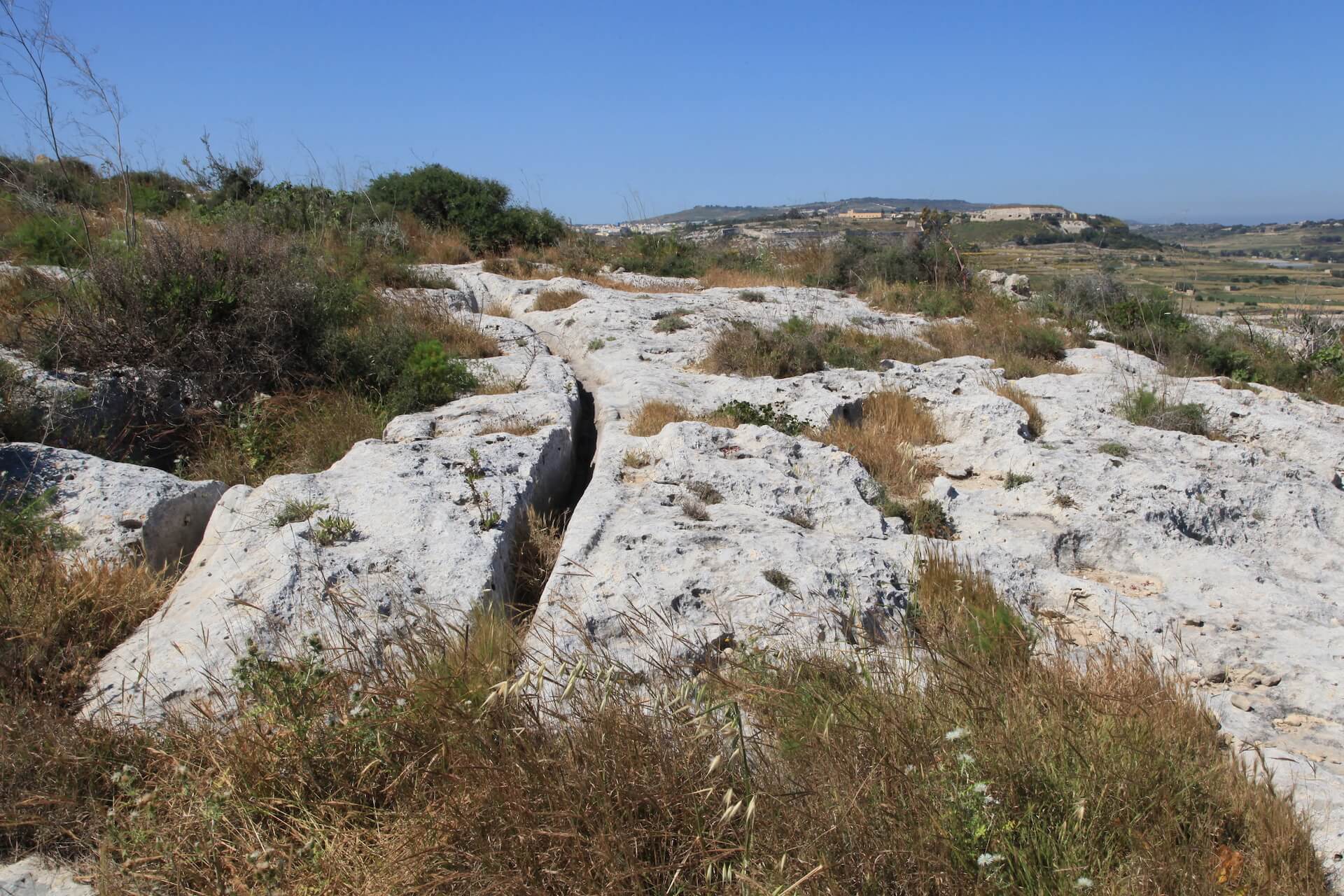 Deep parallel lines of cart ruts made in limestone in Malta