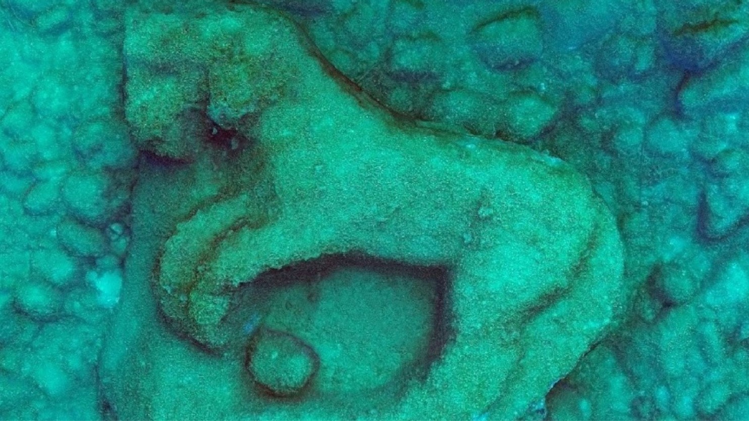 A photo taken underwater of a marble statue in the shape of a prancing horse.