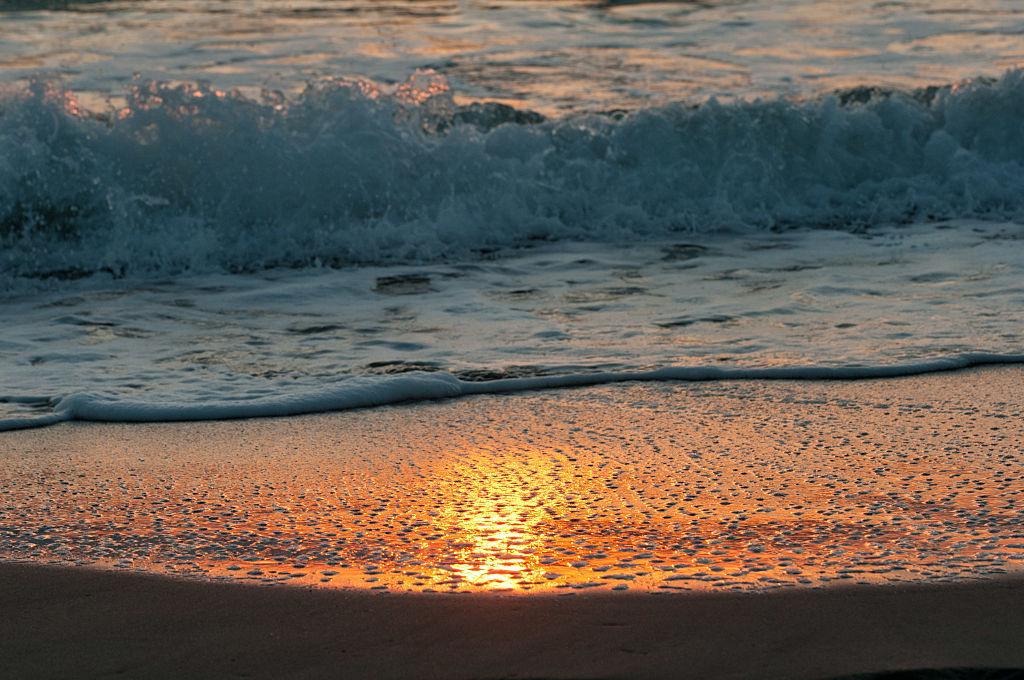 Shoreline in Broward County, Florida, where there is a high risk of rising sea levels