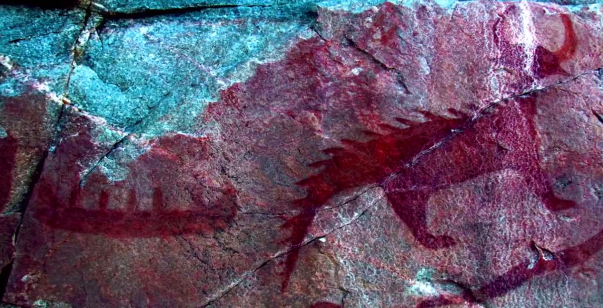 Photograph of ancient depictions of animals on a rock