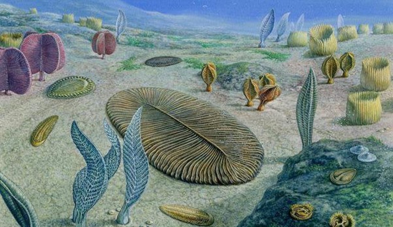 Illustration of life under the sea millions upon billions of years ago