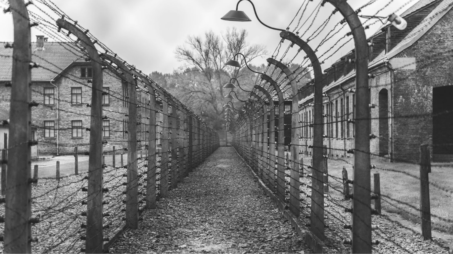 Grayscale photo of a barbed wire pathway between buildings at Auschwitz.