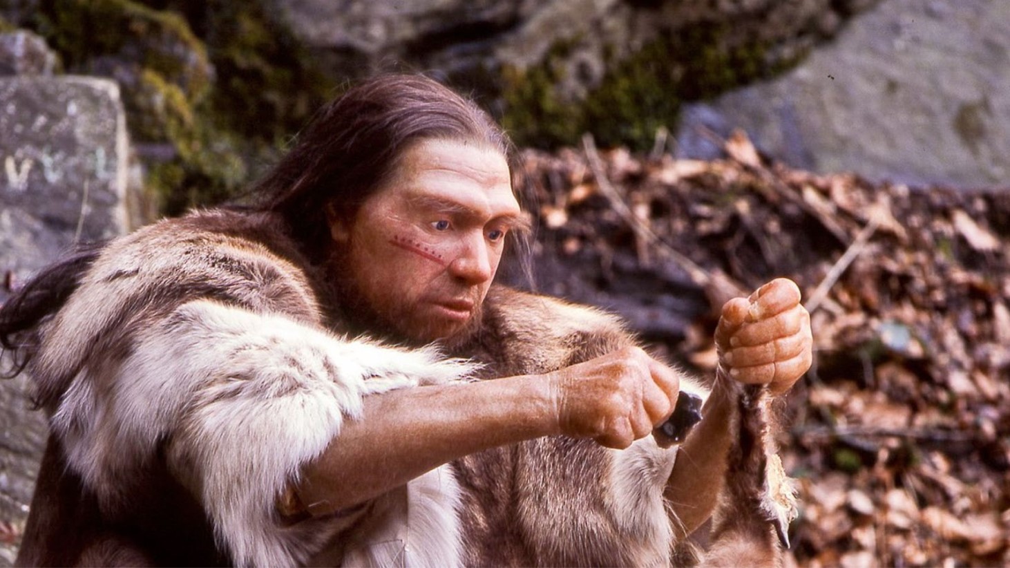 A life-like model of a prehistoric man with long, dark hair and a beard, wearing animal furs, is depicted sitting and crafting a tool. He is focused intently on sharpening a stone with another smaller stone in his hands