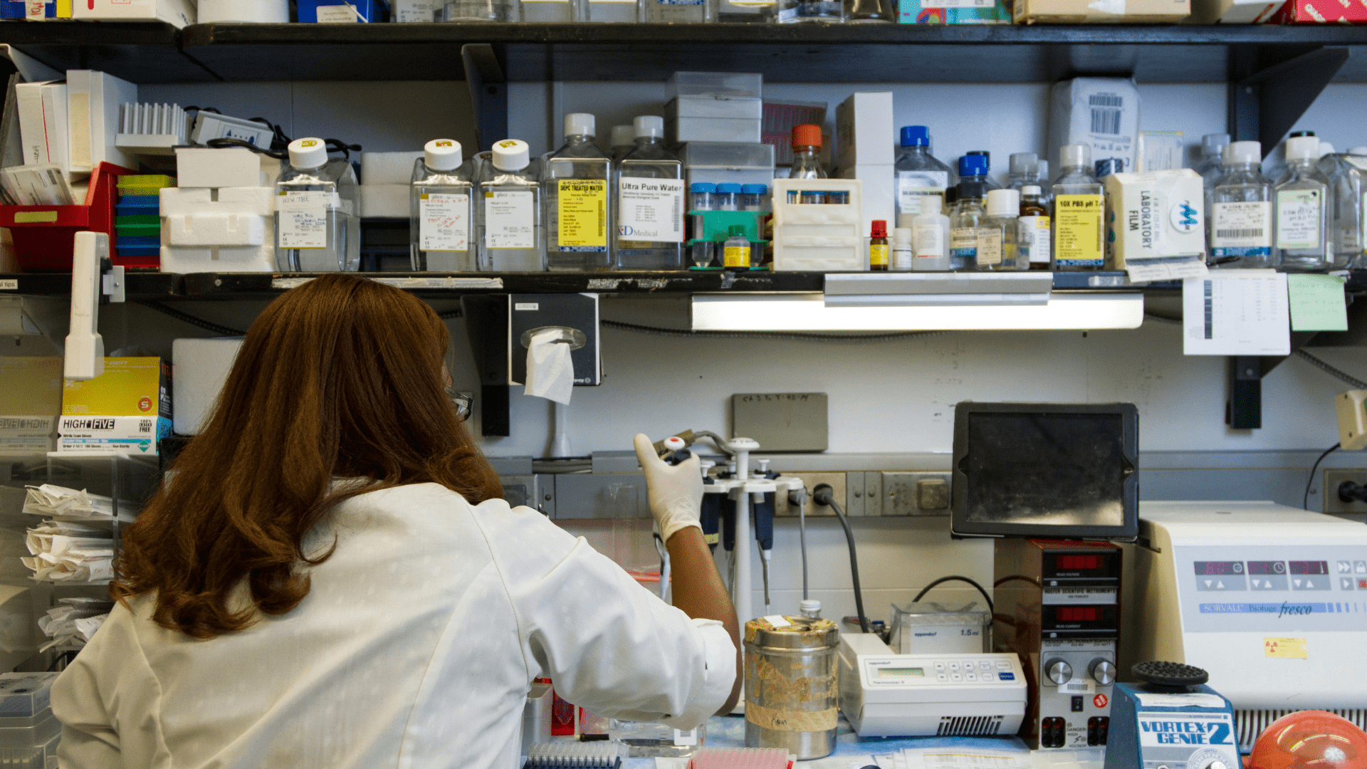 A researcher in a white lab coat and latex gloves is working in a laboratory, facing away from the viewer. There is equipment and many labeled bottles on shelves in front of them.