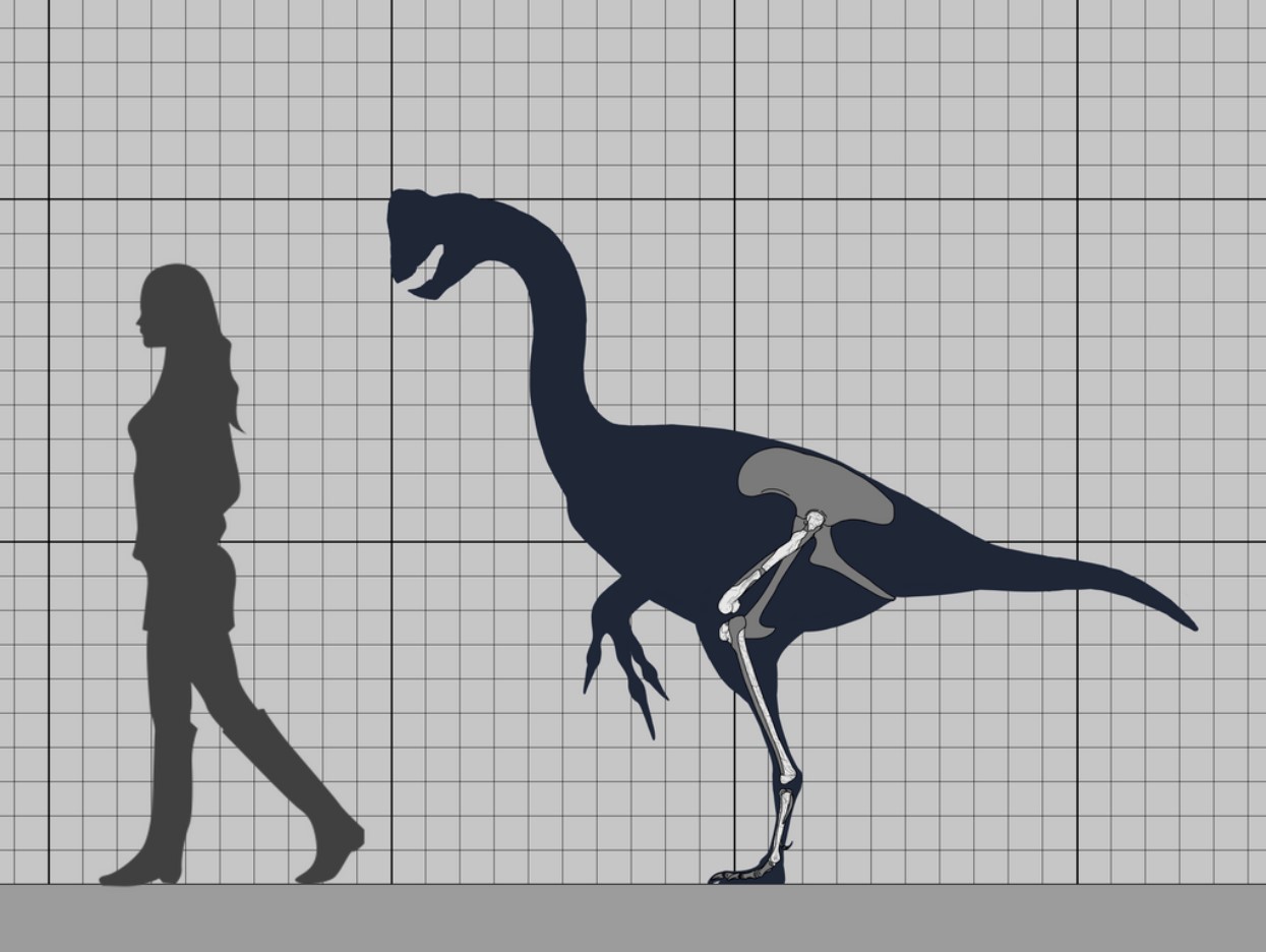 Drawing of a Eoneophron infernalis dinosaur standing next to a human woman