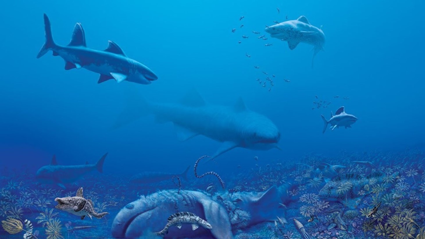Digital artwork depicting a vibrant ancient underwater scene with various shark species. The largest shark dominates the center, surrounded by smaller sharks and a variety of fish
