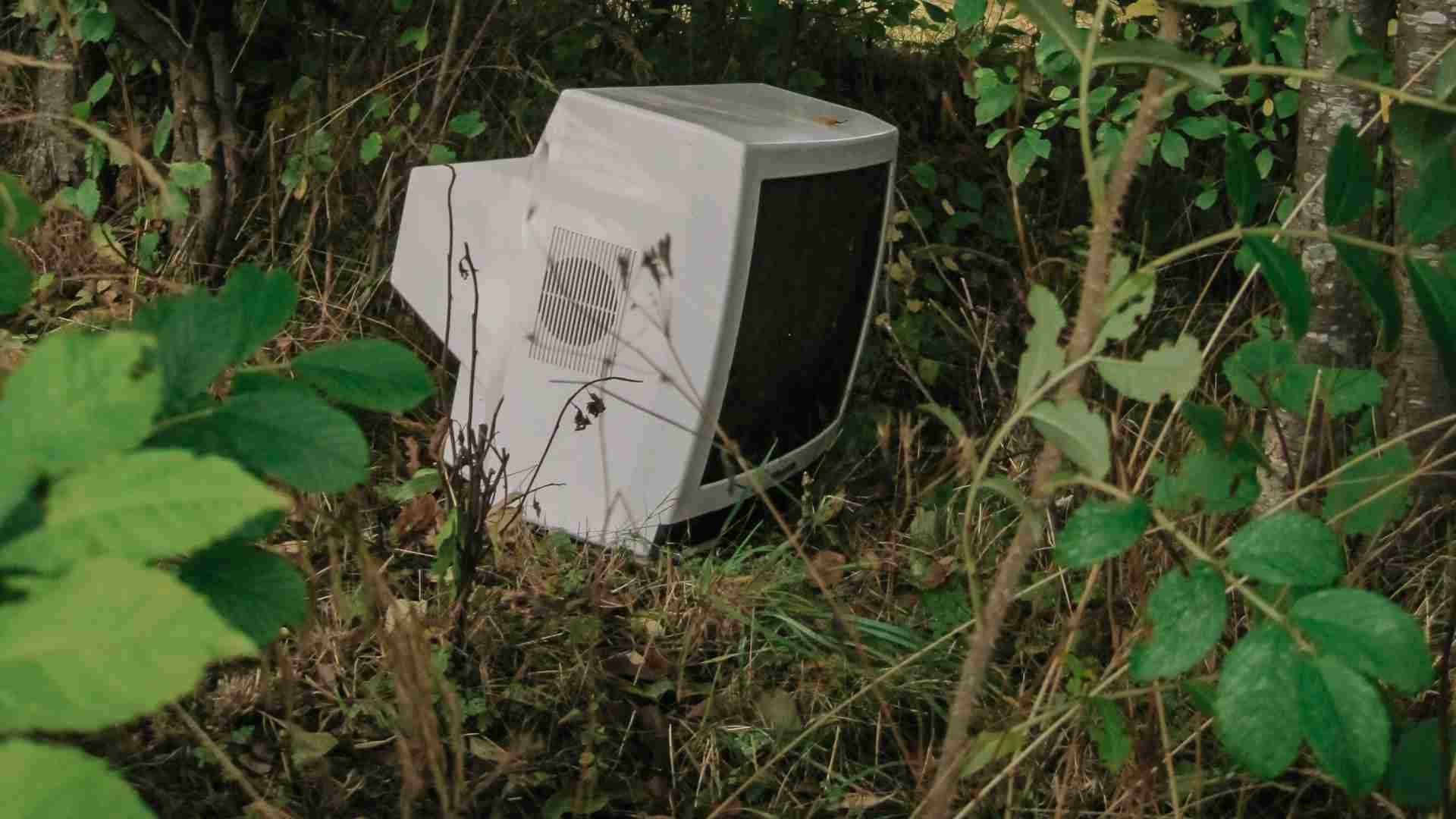 An old computer monitor sitting in brush.