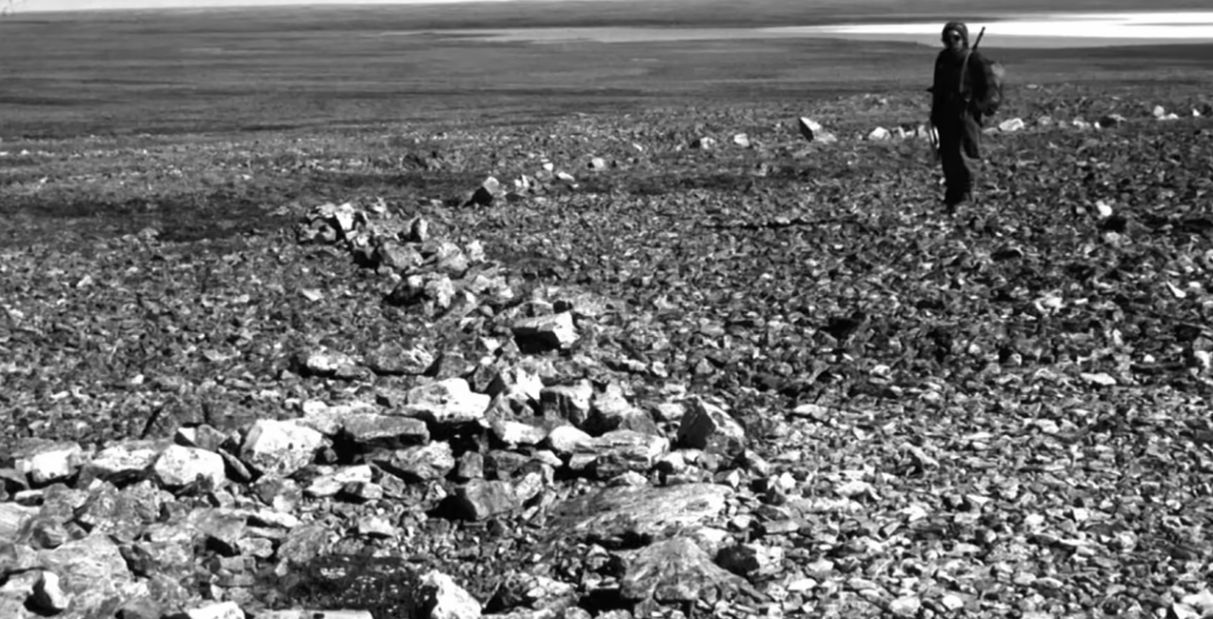 Photograph of a person walking along the shores of Lake Michigan