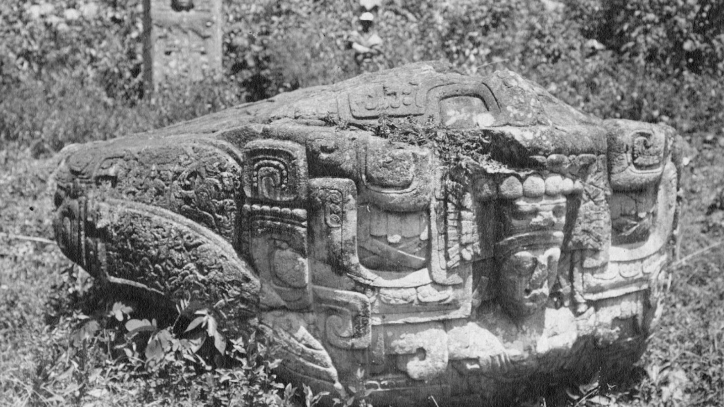 A black and white photograph of a large, horizontally oriented stone monument, intricately carved with figures in the Maya style