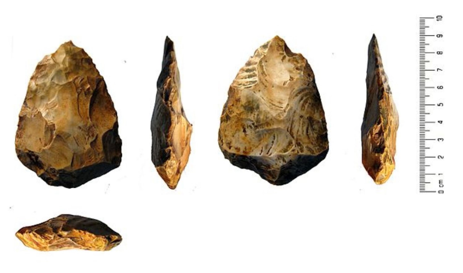 Multiple views of a stone tool presented against a white background, showcasing the tool's various angles. The images display the top, side, front, and bottom perspectives of the hand axe, revealing its pointed tip and chipped edges
