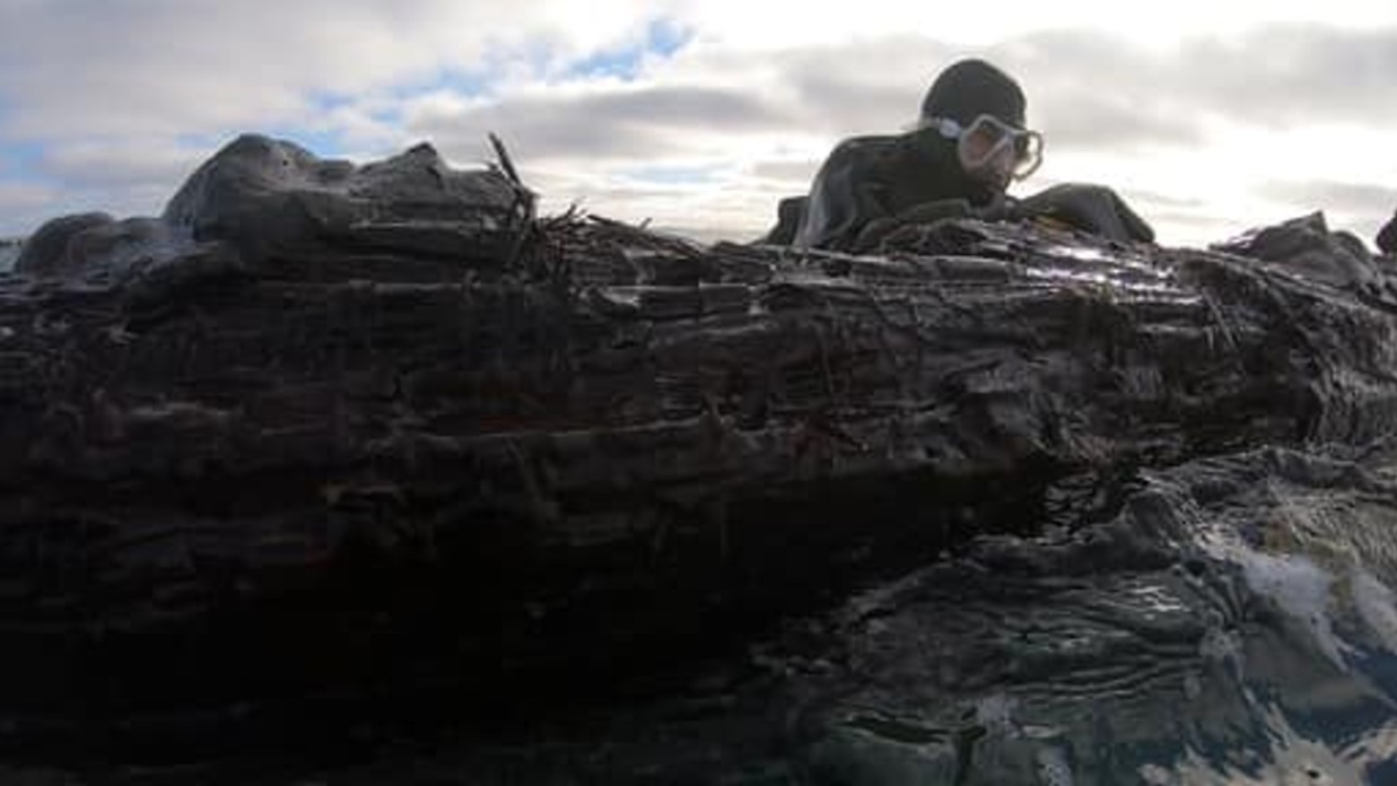 Photograph of a diver examining the recently found shipwreck at Cape Ray, Newfoundland, Canada