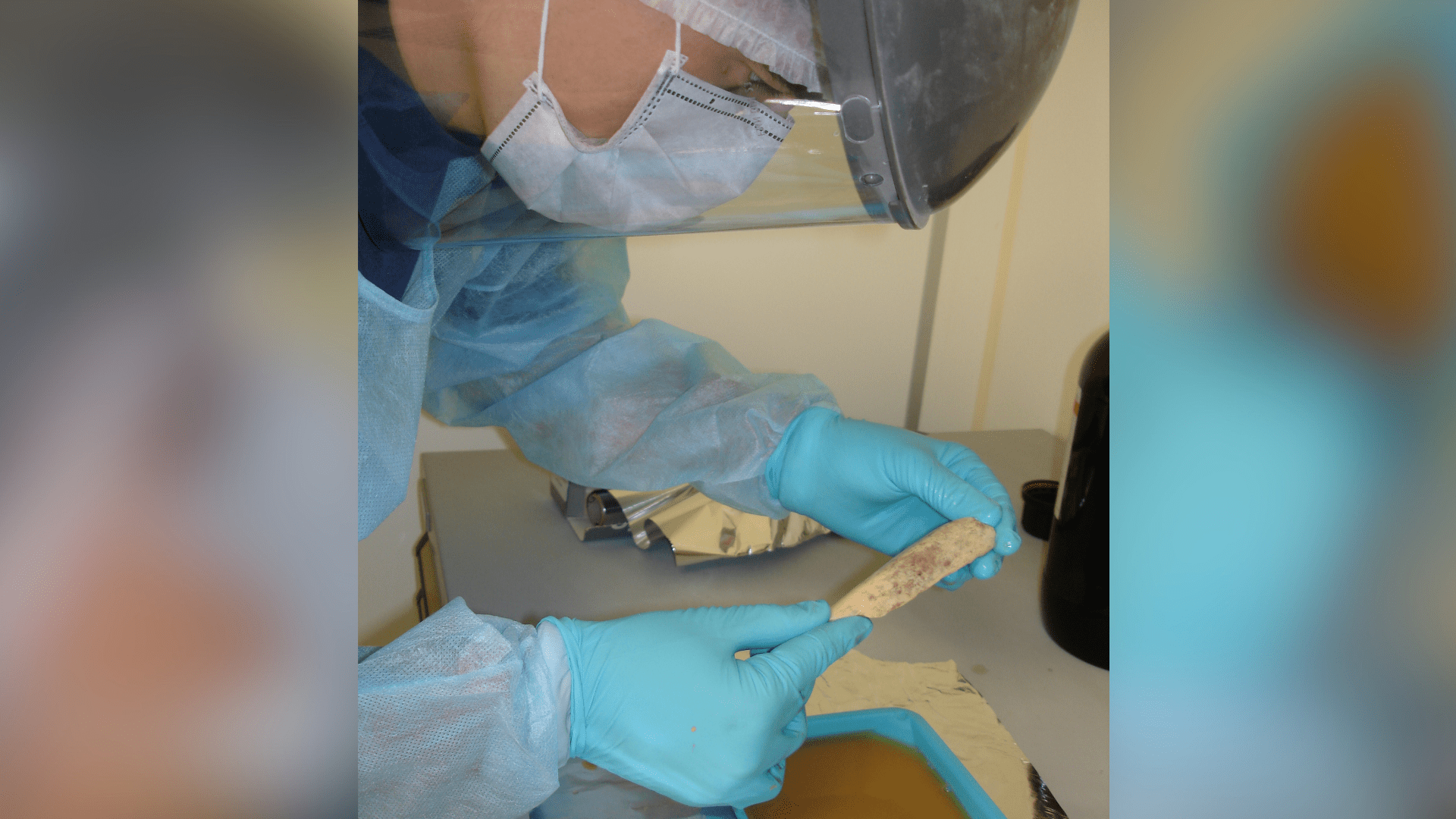 A scientist in full protective gear works on extracting ancient DNA from a bone.