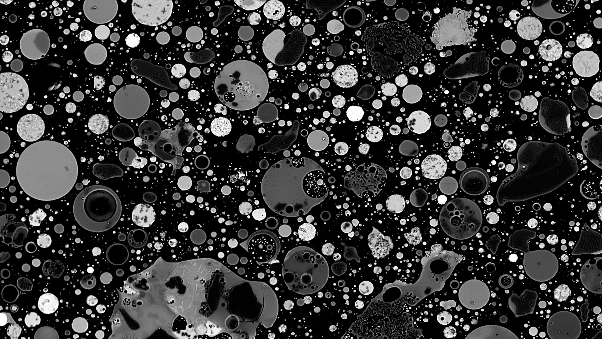 An electron micrograph of coal fly ash.