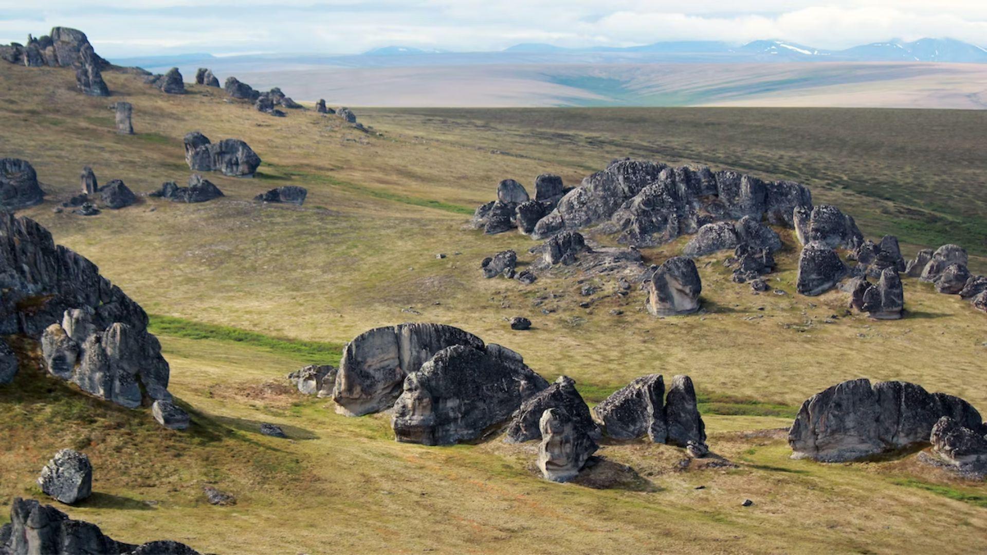 Tors in the Serpentine Hot Springs area of Bering Land Bridge National Preserve