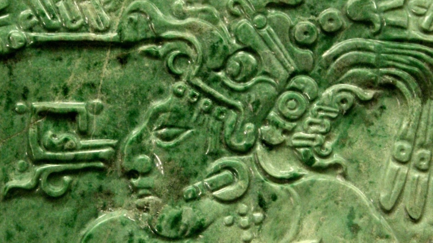 A close-up image showing a detailed carving on a piece of jade. The carving features a profile of a face with stylized features typical of Mesoamerican iconography, including circular ear ornaments and elaborate headgear