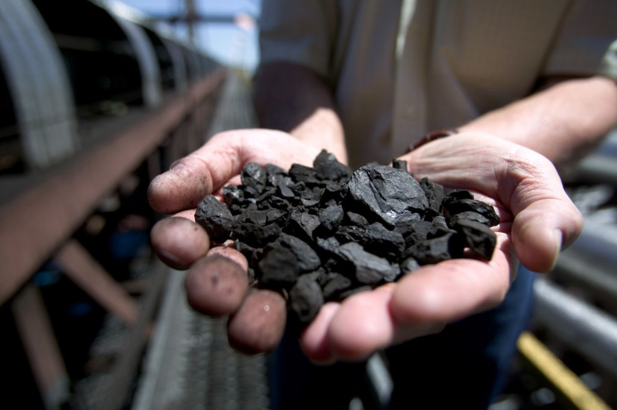 Hands of a coal worker showing a handful of coal to the camera