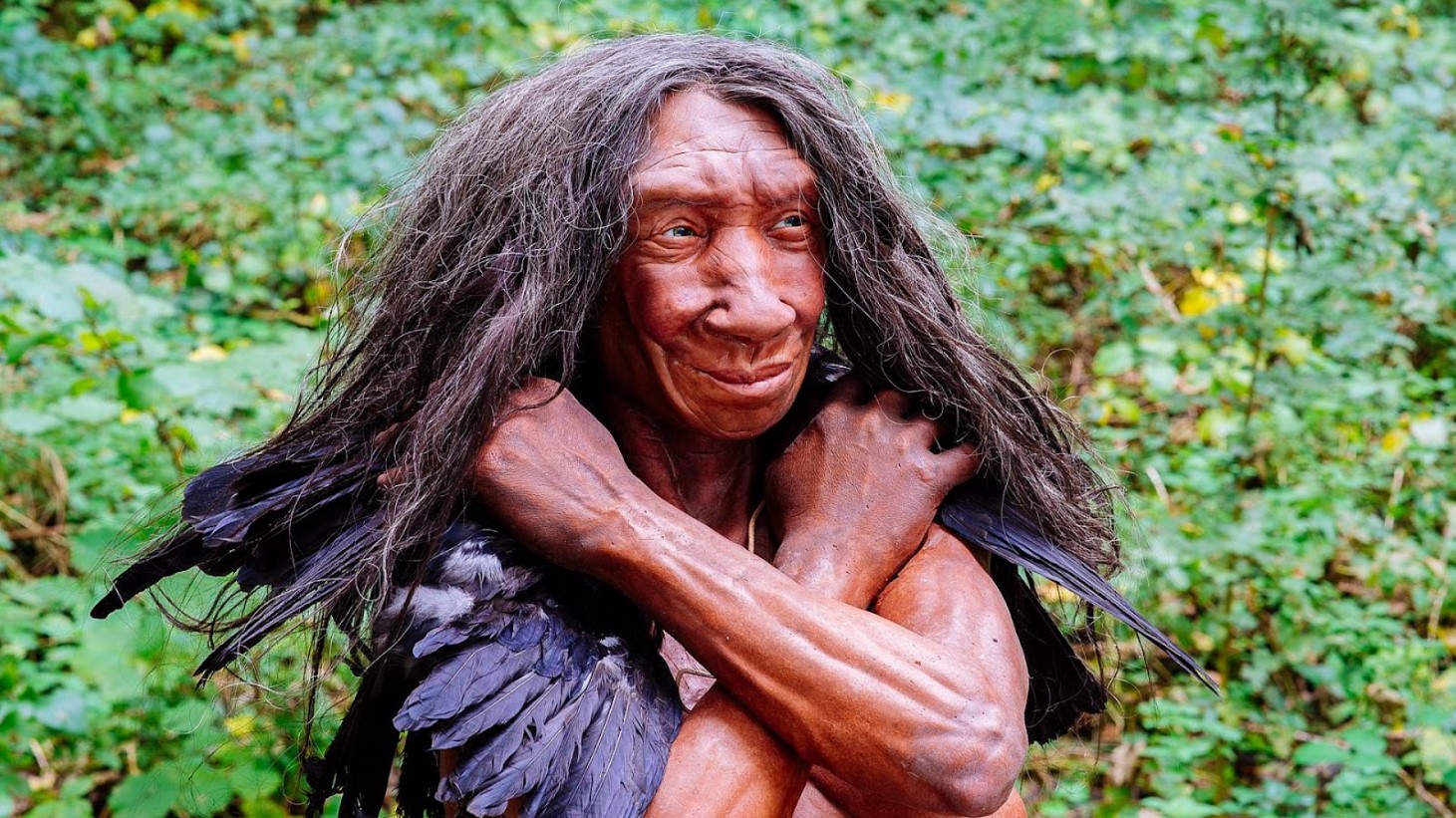 A detailed, lifelike reconstruction of a Neanderthal individual with long, dark hair and a feathered garment