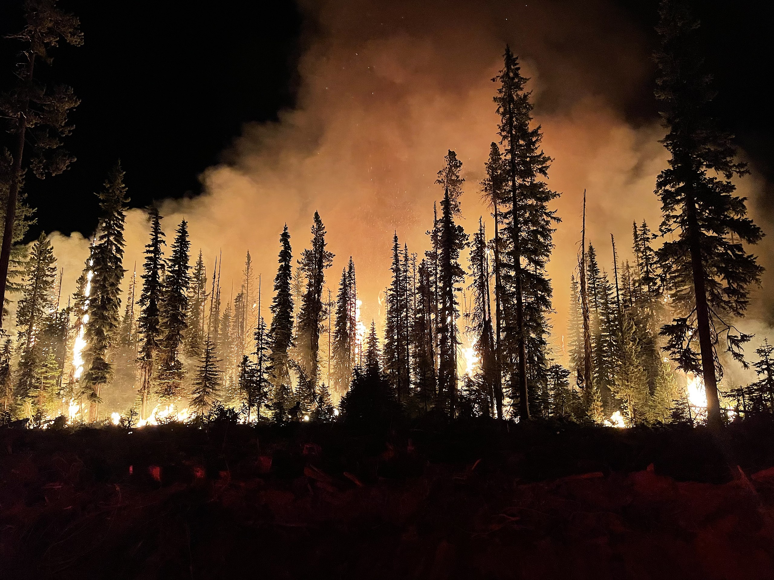 A wildfire burns at night in a forest. Smoke raises in giant plumes through and above the trees.