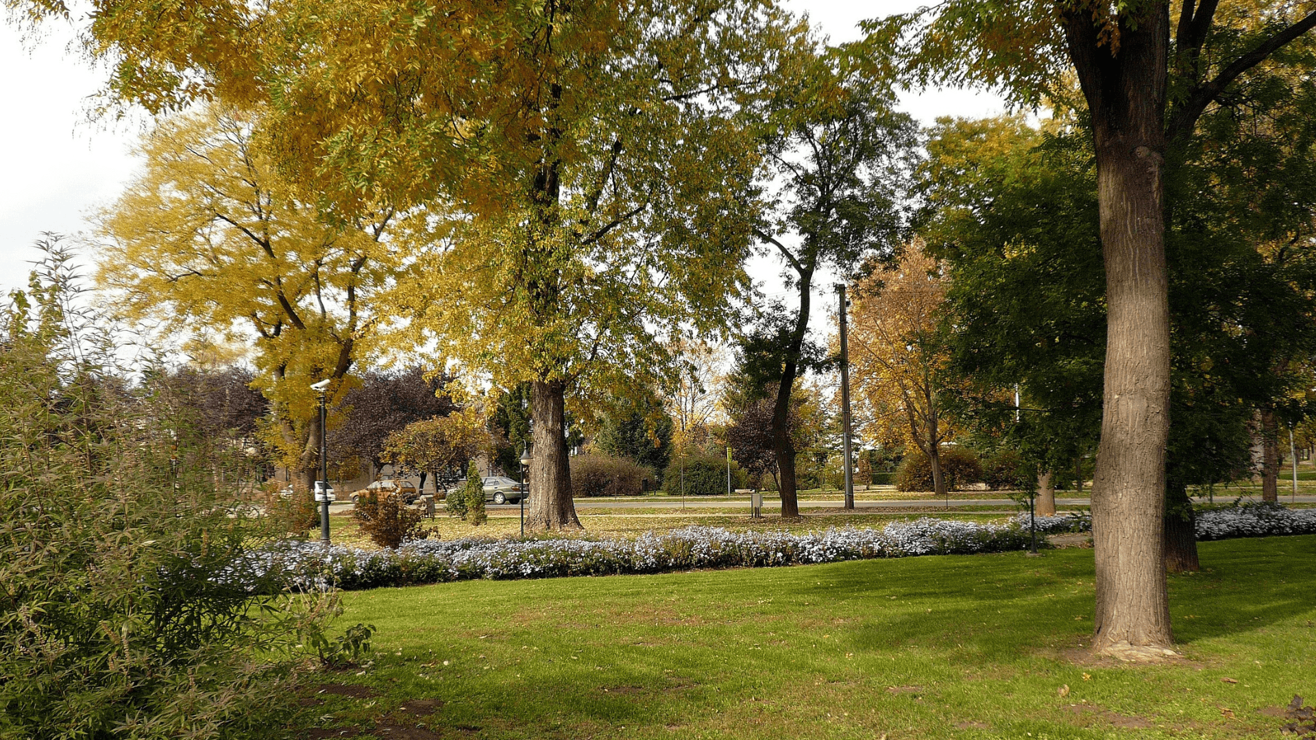 A park in modern-day Ebes, Hungary.