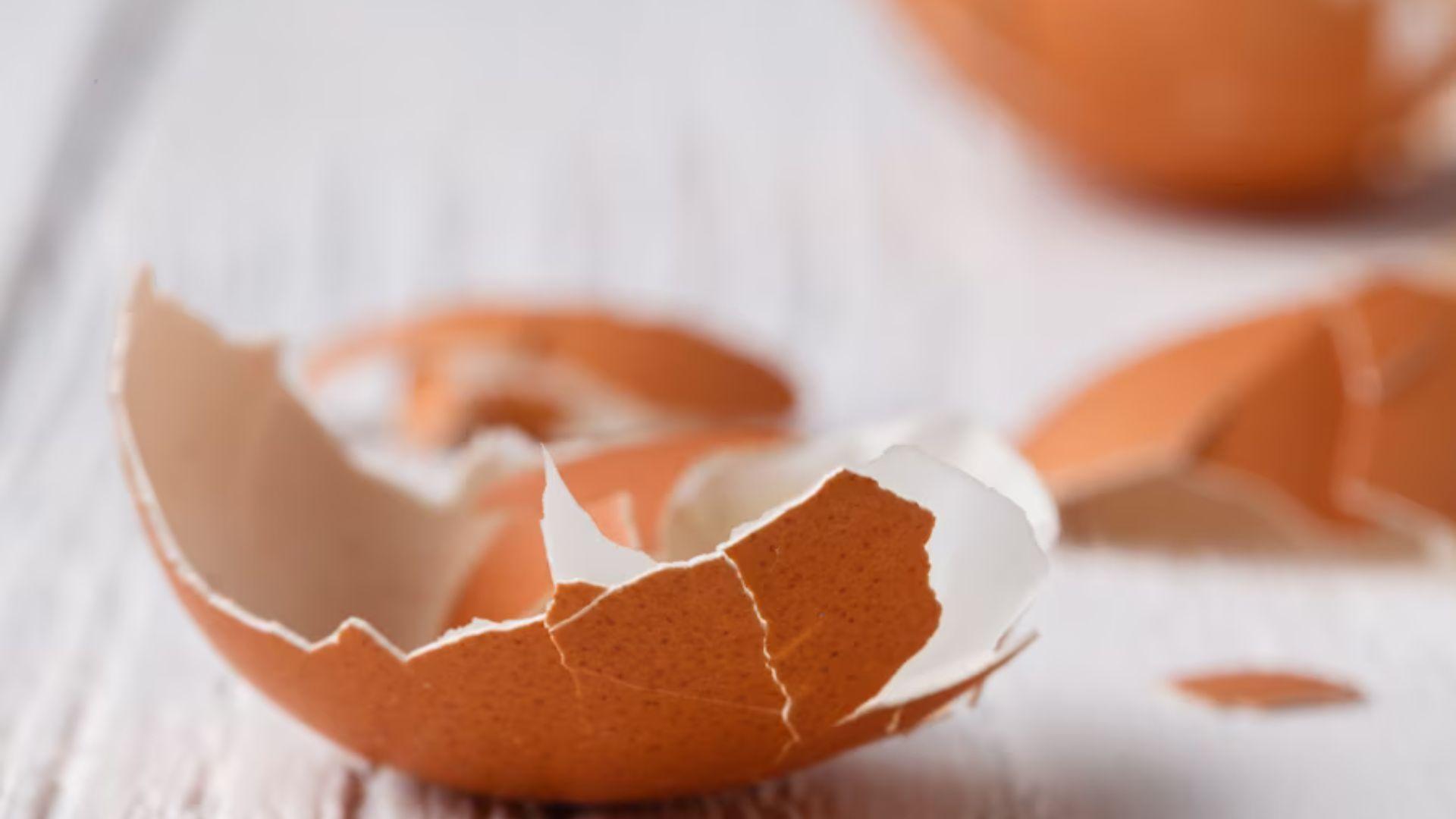 The shells of cracked eggs on a table