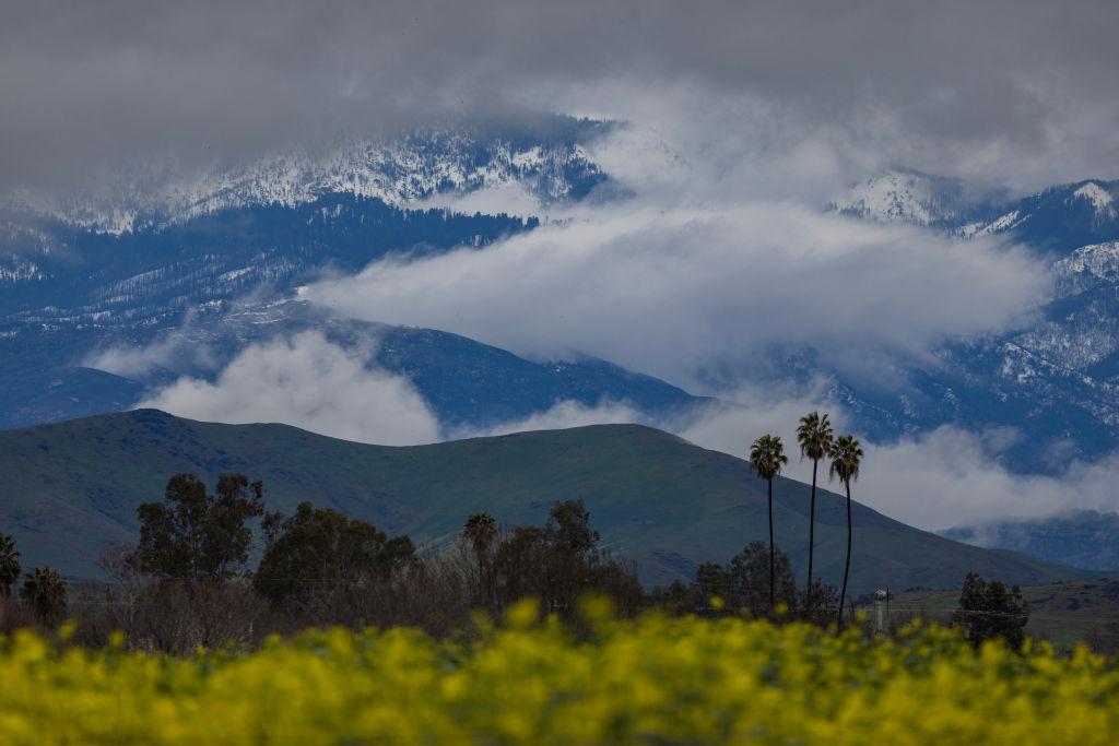 Storm clouds hover over the snow-covered Sierra Nevada Mountains beyond a field of flowers on March 10, 2023, near Porterville, California