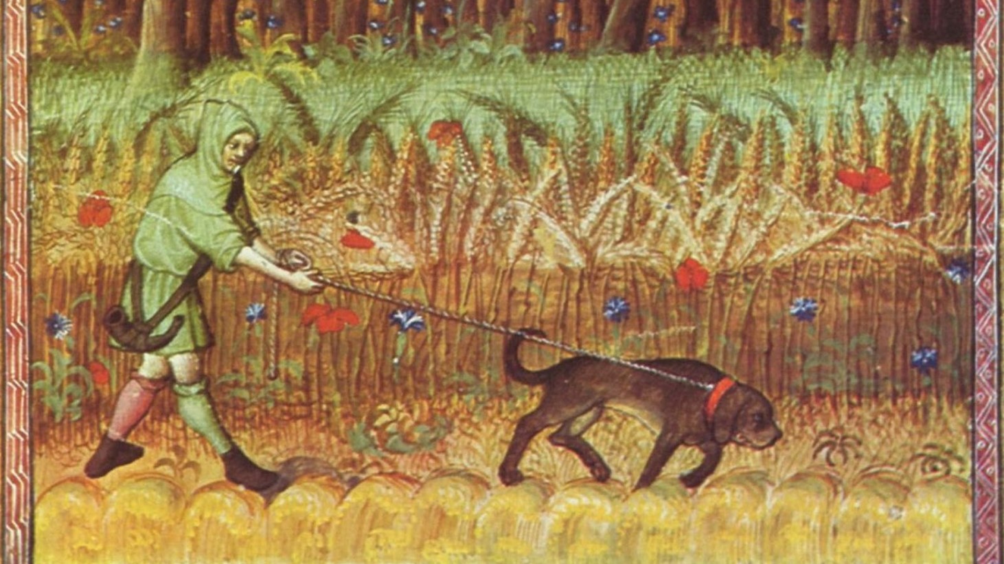 A medieval artwork depicting a man in a green tunic and hood walking a large brown dog on a leash. They are traversing a field with tall wheat-like plants and red poppies, against a backdrop of a dense forest