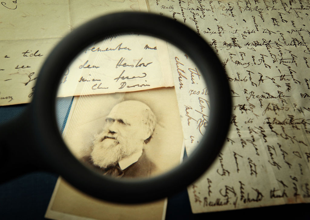 Original letters from Charles Darwin are displayed at the Herbaruim library on March 25, 2009 at the Royal Botanic Gardens, Kew in London. Darwin wrote the letter (R) to his mentor Reverend John Henslow aboard HMS Beagle in April 1833 - writing two ways - as paper was expensive.