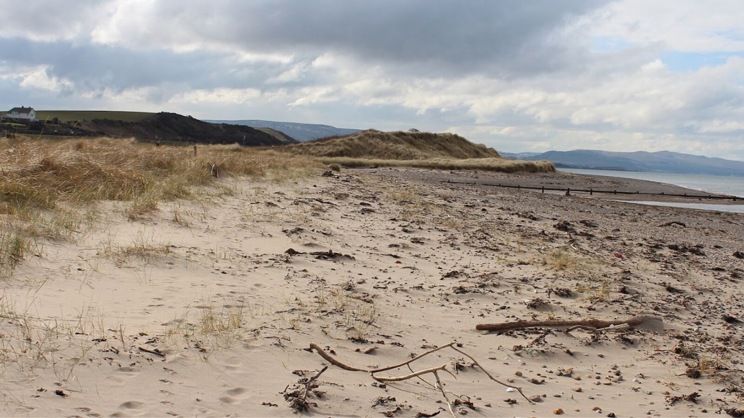 A deserted sandy beach stretches out with footprints dotting its surface