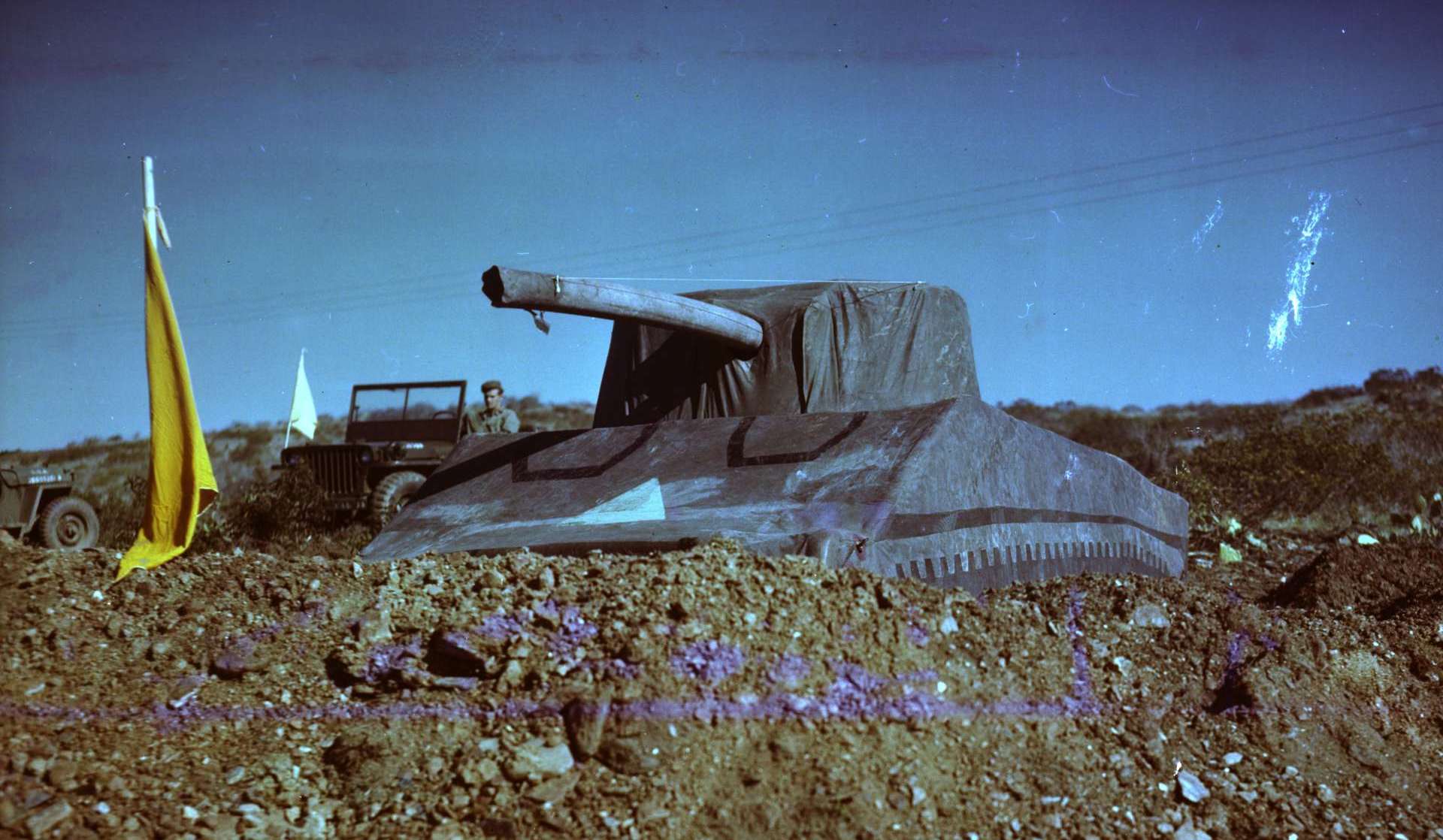 A colored image of a faux tax in a field of flowers