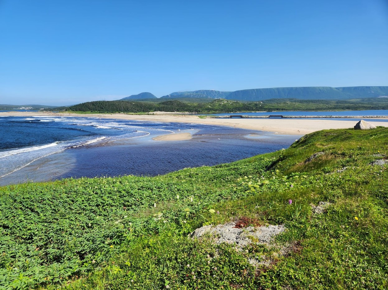 View of the coast of Cape Ray, Newfoundland where the shipwreck was found