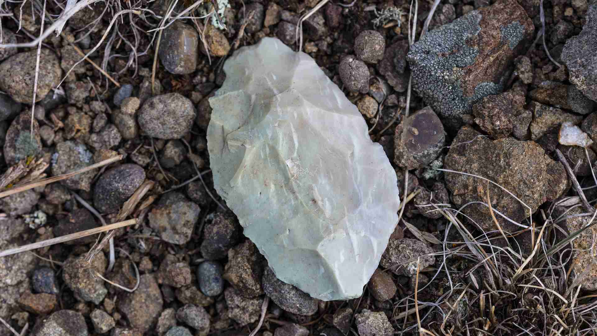 A chipped stone used in a tool by ancient humans.