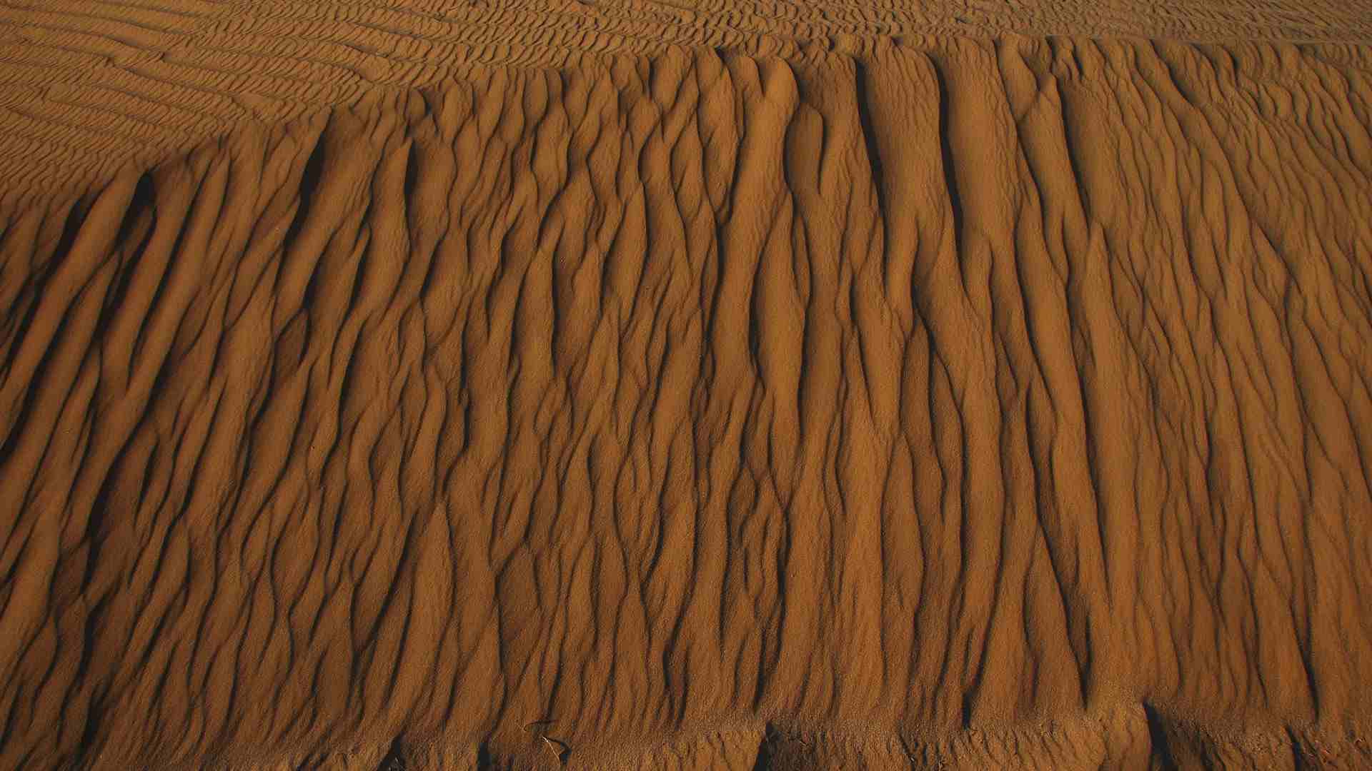 A view of ripples underneath a sand dune.